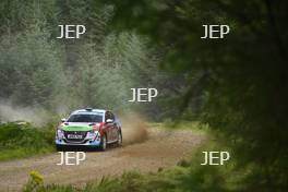 Joseph Kelly/ Killian McArdle - Peugeot 208 Rally4