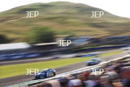 #116 - Ashley Sutton - NAPA Racing UK - Ford Focus ST