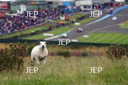 BTCC at Knockhill 