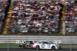 #116 Ash Sutton - Napa Racing UK – Ford Focus Titanium Saloon