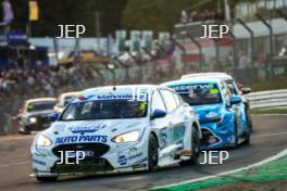 #116 Ash Sutton - Napa Racing UK – Ford Focus Titanium Saloon